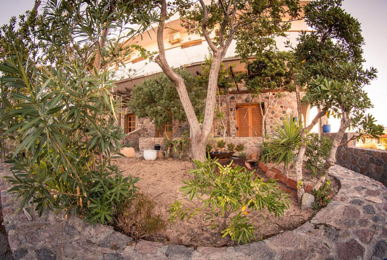 Vagia Beach Apartments, Aegina Island Room photo